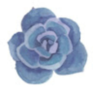 Meet your Posher, Gee young